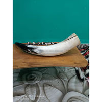 Fûts à boire vikings haut de gamme Raise Your Horns pour des gorgées sûres et élégantes à prix abordables par la société de fabrication