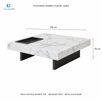 Table basse en marbre Statuario Luca Pure |   Plateau de table carré en pierre veinée blanc-gris avec plateau noir intégré, décoration moderne de luxe pour maison et villa