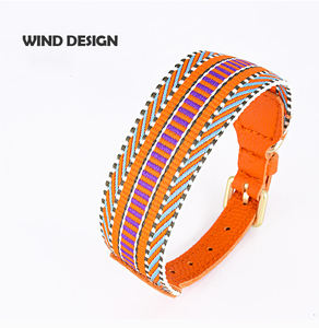 2025 nuevo diseño gran oferta de lujo personalizado PU cuero perro Collar y correa conjunto ajustable algodón tejido cuerda mascota Collar Correa conjunto - Product Image 4