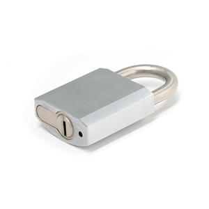 Candado Interior de Latón Resistente al Agua de Alta Seguridad con Logotipo Personalizado, con Llaves de Níquel Plateado - Product Image 2