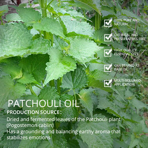 Aceite esencial de pachulí 100% ACEITE DE pachulí crudo puro para hacer champú aditivo para el cuidado del cabello crecimiento del cabello - Product Image 3