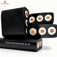 Kabel Industri Listrik JHSBP Tahan Air Berpelindung Datar 3+1 Inti Berisolasi EPR 450/750V untuk Pompa Pengolahan Air