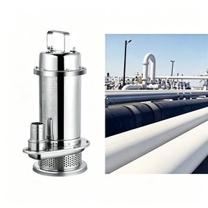 Pompe submersible haute capacité en acier inoxydable SS304 pour eau propre, conception extractible QDX, pompe industrielle pour levage d'eau, 1,5 m³/h, 22 m - Product Image 1