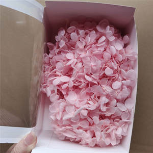 Pétalos de Hortensia Preservados, Flores Secas para Manualidades, Suministros para DIY, Regalo Perfecto para el Día de la Madre, Caja Cuadrada para Arte en Resina, Fabricación de Velas Eternas - Product Image 3