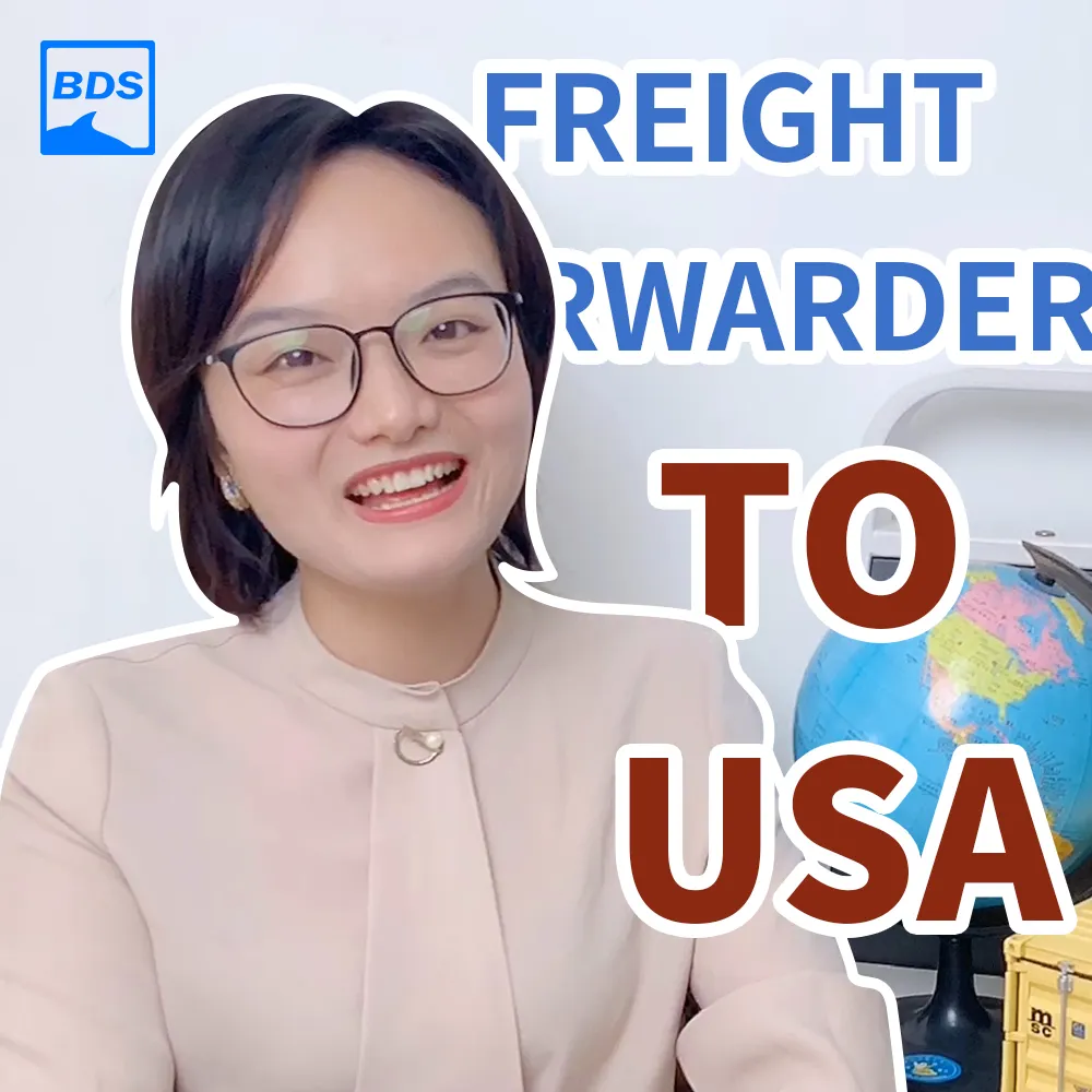 وكيل الشحن البحري/وكيل الشحن من الصين إلى الولايات المتحدة الأمريكية ddp
