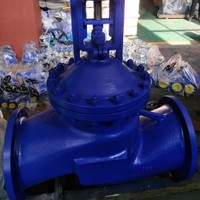 Vanne d'arrêt industrielle robuste en acier 316 avec extrémités à souder et disque renforcé pour zones à fortes vibrations