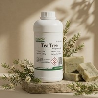 Huile parfumée hautement concentrée à l'arbre à thé pour savon artisanal, huile parfumée extra forte en gros, testée pour sa sécurité cutanée