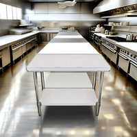 Table de préparation à deux niveaux robuste Bureau de rangement domestique en acier inoxydable avec étagère de dessous réglable