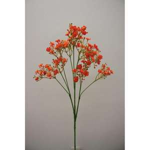 GYPSO REX 70CM OR - Product Image 1