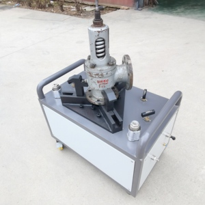 Dn15-dn250 Max 400 bar xách tay gas hoặc thủy lực tăng cường an toàn cứu trợ van kiểm tra băng ghế dự bị - Product Image 2