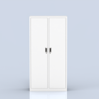 Armoire de rangement professionnelle moderne en acier laminé à froid à 2 portes verrouillables pour l'école, le laboratoire médical et la pharmacie