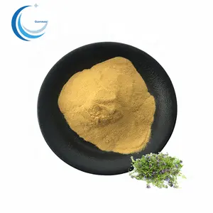 Natural Thyme Extract Powder High Quality Thymus Vulgaris Extract