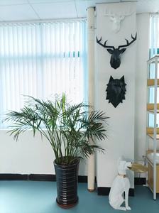 Support mural en résine personnalisé, tête de cerf créative, tentures murales géométriques 3D, fausse tête de cerf pour salon, tête de cerf nordique moyenne - Product Image 5