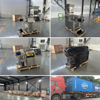 Machine d'Extrusion Alimentaire Automatique pour la Fabrication de Snacks, Riz, Maïs, Chips, Boulettes de Fromage, 50 kg/h, 100 kg/h, 150 kg/h