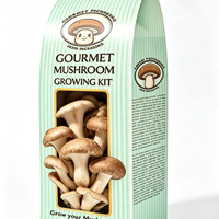 Boîtes à champignons personnalisées imprimées, fabriquées en carton de qualité supérieure, avec logo