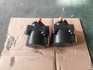 Pompe hydraulique à palettes simple série PFE PFED PFEX PFRX POX PFE-31/41/51 PFE-31022-1DT20 PFE-31028 PFE-31036 PFE-31044 PFE-41029 - Product Image 2