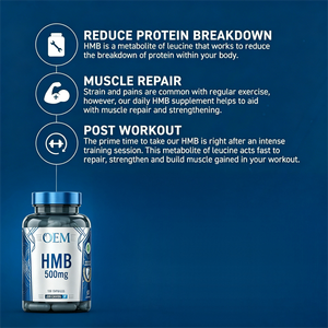 OEM ODM HMB 500 mg por Porción, 120 Cápsulas Vegetarianas, 60 Porciones, Sin GMO, GMP, HACCP, ISO, Halal, BRC - Product Image 4