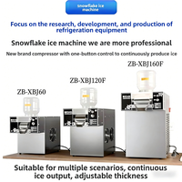 Machine à glace pilée et à neige professionnelle de qualité commerciale, durable, avec une vitesse de production rapide de glace et de neige, pour les restaurants européens