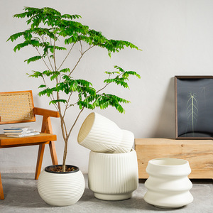 Pot de fleurs en plastique sur pied, grand, épaissi, spécial pour oiseaux de paradis, salon, balcon, pot de plantation, résistant au four - Product Image 1