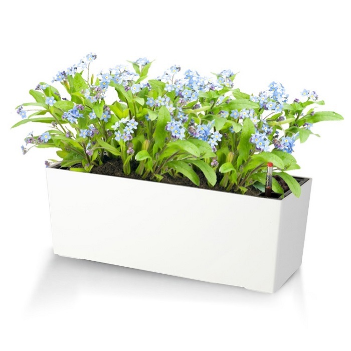 Modern White Plastic Wall-Hanging Orchid Pot – Self-Watering Planter