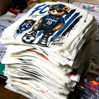 Autocollants de transfert thermique DTF personnalisés pour équipes de football, faible MOQ, vinyle pour T-shirts et maillots, décalcomanies lavables en couleur pour vêtements d'équipe