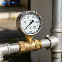 High Pressure Stainless Steel Pressure Gauge Liquid Filled Shock Resistant Industrial Corrosion Resistant Pressure Gauge
