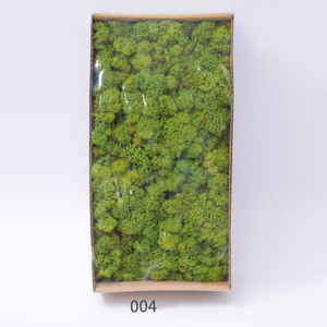 ¡Venta al por mayor! alfombra <span class=keywords><strong>vertical</strong></span> de césped musgo <span class=keywords><strong>artificial</strong></span> de color natural mezclado para decoración de paredes - Product Image 5