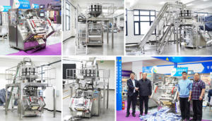 Empanada Pierogi Mandu <span class=keywords><strong>Maultasche</strong></span> Embalaje Máquinas de embalaje inclinadas multifunción - Product Image 2