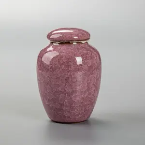 Urna per animali domestici in ceramica per ceneri 2024 urna funeraria di lusso più venduta per animali domestici