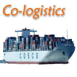 Shenzhen sea freight forwarder Third-party warehouse freight shipping forwarder China to Canada America