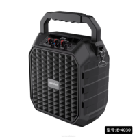 Altavoz De Karaoke E4030, altavoces grandes para fiesta de Dj al aire libre, altavoz De Karaoke portátil de 6,5 pulgadas con 2 micrófonos inalámbricos para Ktv familiar