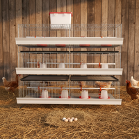 Nouvelle cage à poulets automatique en acier galvanisé de type H Linchuan Hebei, 3 à 8 niveaux, 80 kg, facile à nettoyer, durée de vie de 15 à 20 ans