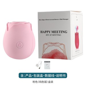 Vibratore a Rosa Economico all'Ingrosso, Stimolatore per Capezzoli, Giocattolo Sessuale <span class=keywords><strong>in</strong></span> Silicone, Masturbatore Femminile, Giocattoli per Adulti, Rosa USB dell'Amore - Product Image 4