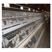 Vente chaude Cage à poules pondeuses d'occasion pour élevage avicole