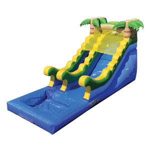Glissière et glissière gonflables de glissière <span class=keywords><strong>d</strong></span>'<span class=keywords><strong>eau</strong></span> de double ruelle de <span class=keywords><strong>jeux</strong></span> extérieurs pour l'arrière-cour - Product Image 2