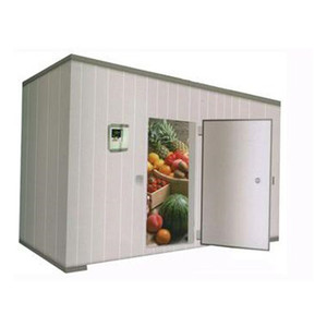 Réfrigération de chambre froide 100t pour le type de <span class=keywords><strong>congélateur</strong></span> de plat de fruits et légumes avec le composant de moteur de noyau - Product Image 1
