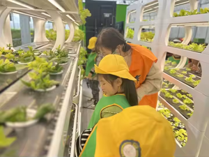 Nouvelle ferme hydroponique verticale intérieure intelligente-Système intelligent de culture de fruits et légumes - Product Image 4