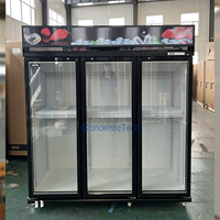 Réfrigérateur Commercial et Domestique, Refroidisseur de Boissons, Vitrine Réfrigérée Portable, Armoire à Lait