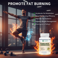 Extrait de Garcinia Cambogia à haute puissance en marque privée avec HCA 60% pour le métabolisme et l'équilibre corporel, capsules de Garcinia Cambogia