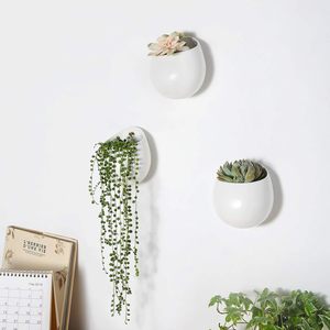 Décoration magnétique assortie pour réfrigérateur Décoration magnétique assortie avec <span class=keywords><strong>mini</strong></span> fausses plantes succulentes dans des pots en céramique blanche Pots magnétiques pour plantes - Product Image 3