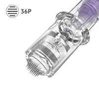 Charme Princesse Microneedling Pen Size Cartouches d'aiguilles nano en acier inoxydable pour le maquillage permanent et l'application des sourcils