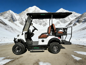 Carrito de Golf Eléctrico de 4 Plazas para Desplazamientos en Campos de Golf, Paseos de Ocio en Villas, Precios al por Mayor para Carreteras No Públicas - Product Image 1