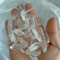 Petite graine naturelle de lémurien Quartz clair Point de cristal brut