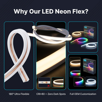 Bande LED néon flexible multicolore pour décoration de bar KTV, 6x12mm SMD LED, 60 LED/m, DC24V/12V, dimmable, étanche IP65, pour fêtes et festivals