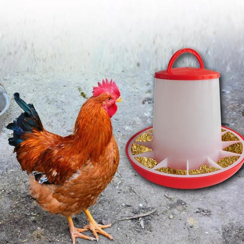 Supa Abbeveratoio Per Pollame 3 Litri - Alimentazione A Gravità, Da Terra O Appendere, Prodotto UK, Rosso E Bianco