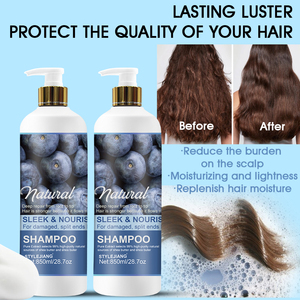 Champú y Acondicionador con Vitamina E y Arándanos Naturales OEM, Champú Reparador para el Cabello para Uso en Salón - Product Image 2