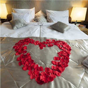 1000 pièces <span class=keywords><strong>de</strong></span> pétales <span class=keywords><strong>de</strong></span> rose artificiels Real Touch pour créer une atmosphère romantique et surprenante - Product Image 6