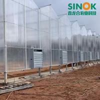 Serre multi-travées Sinok Venlo en polycarbonate, serre en plaques PC, kit de serre à structure en acier galvanisé pour légumes