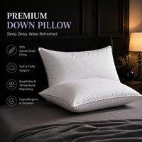 Oreiller de luxe personnalisé avec logo, 95% duvet d'oie, housse en coton blanc, régulateur de température, soutien doux, pour dormeurs sur le côté/dos