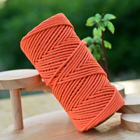 Fil de coton creux Changxin Shandong 2 mm 150 m, macramé, coton biologique pur, corde torsadée, coton tissé